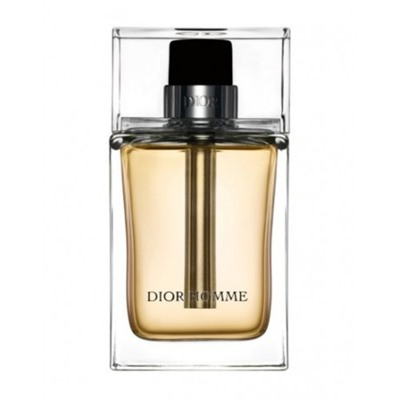 Сhristian Dior HOMME men 100ml edt TESTER