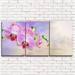 Модульная картина Розовая орхидея у воды 3-1